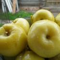 Вкусные рецепты маринования яблок на зиму