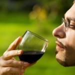 What is the best red wine to drink